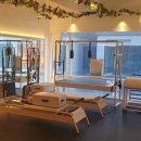 다비드 핏 이미지