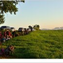 고삼목장 이미지