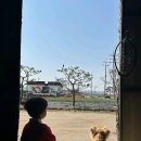 자연과 함께하는 도자기 체험, 예뜰 방문기🌱