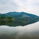 의림지-07 이미지