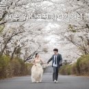 갤러리 | W12. 제주 웨딩사진 제주 토탈 스튜디오 하다갤러리 후기