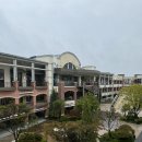 필승로(3) | [아웃백스테이크하우스 파주점] 파주 신세계아울렛 아웃백 런치 후기🥩
