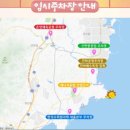 2025 간절곶 해맞이 행사 네이버블로그