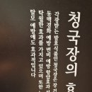꽁당보리밥 이미지