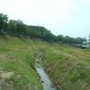 덕산초교 옆 이미지