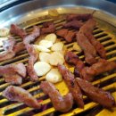 송도갈매기 이미지