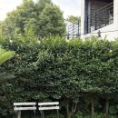 표선면-13 | 제주 서귀포 독채펜션 감성 숙소 추천 조식 13보름 내돈내산