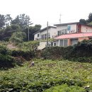 돌담집 이미지