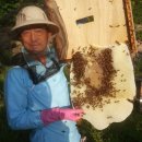 김용수 농장 이미지