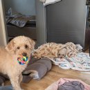 가고파안경 | 이번포스팅은 대전나들이가 핵심이지요(10.20~10.31)