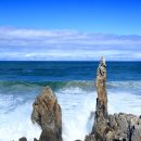 바람불어 좋은날 이미지