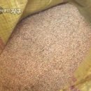 일삼칠(137) 네이버블로그