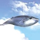 고래의 꿈 이미지