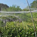 안골농장 이미지