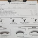 신데렐라아미솔류션
