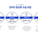 해뜨는 동물병원 이미지