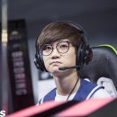 판테라