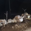 큰나무농장 이미지