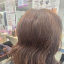 매트로펠리스Ⅱ-B | 부천 두피관리큐사랑 부천지사에 다녀온 후기예요