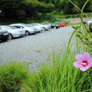 대송공원 이미지