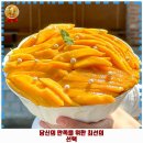 안양3동 애견카페 프루타 베이커리 안양점 후기 좋았던 곳 추천되는 이유는 가격과 리뷰가 좋기 때문이죠