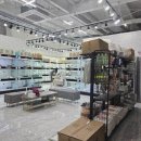 대구강아지분양 도로시펫 이미지