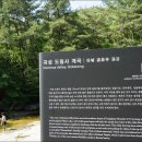 도림사[남] Daum카페