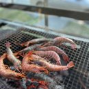 느티고을펜션 이미지