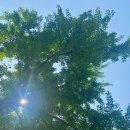 제이엘필라테스 이미지