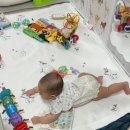 138고깃집 이미지