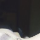 예쁘다skin&body