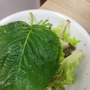 주정차단속-119 | 교하수산에서 상생페이백으로 회포장