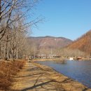 괴산시외버스공용터미널 이미지