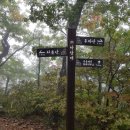 조은연리지 | 백두대간3일(댓재~대관령)- 캠프라인 헬리오스 필드테스트 산행