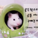 지우펫