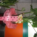 성안공인중개사사무소 이미지