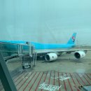 938 | 대한항공 오스트리아 비엔나 직항 요일 KE938 탑승 후기 기내식 정보