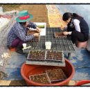 참들농장 이미지