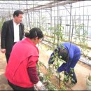 강현농장 이미지