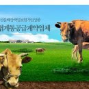 웰빙쇼핑몰 이미지