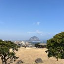 송악산주차장 | 제주 서귀포 가볼만한곳 송악산 둘레길 산책코스 일몰 명소 후기