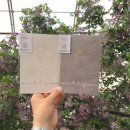 디자인몬트