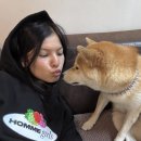 HOMMEGIRLS 옴므걸스 세일🍒 셔츠, 박서 브리프, 양말, 반팔 티셔츠, 후드티 직구 @ 리볼브