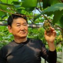 가락농협하나로마트 이미지