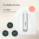 바바속눈썹
