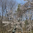 박민광 밝의뉘 이미지