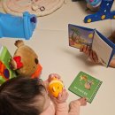 동화속역사이야기2 | 그레이트북스 베베코알라 생활동화 완독 후기｜9개월 아기 책육아 시작 전집 추천