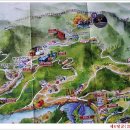 해안면사무소-4땅굴 가로수 | 양구 을지전망대와 제4땅굴(2014.7.3)