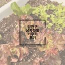 양천농장 | 양천구 상자텃밭 분양 후기, 주말농장?