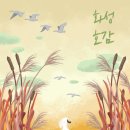 화성문고 이미지